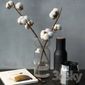 Cotton branch